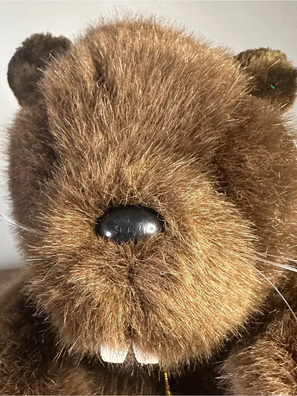 Toys R Us Geoffrey 1989 Beaver Plush Stuffed Animal 10